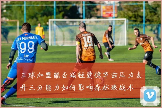三球加盟能否减轻爱德华兹压力麦丹三分能力如何影响森林狼战术